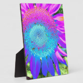 Blauwe roze retro funky sunflower foto fotoplaat (Zijkant)