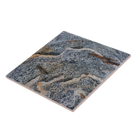 Blauwe roze roze rotsrog Abstracte keramische tapi Tegeltje (Zijkant)