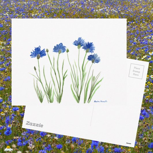 Blauwe roze waterverf Cornbloemen Briefkaart