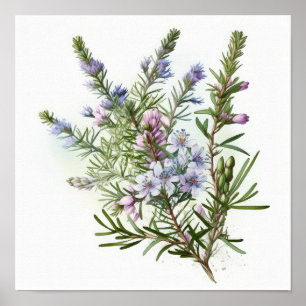 Blauwe Rozemarijn Bloemen Kunstprint Poster