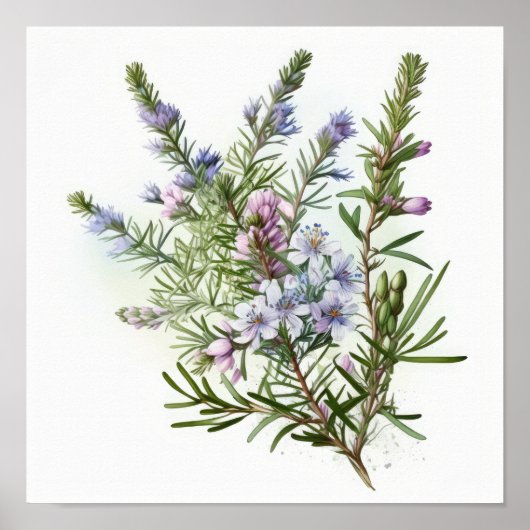 Blauwe Rozemarijn Bloemen Kunstprint Poster (Voorkant)