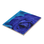Blauwe rozen bloem tegeltje (Zijkant)