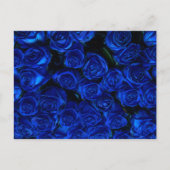 Blauwe Rozen Briefkaart (Voorkant)