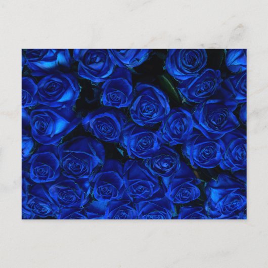 Blauwe Rozen Briefkaart (Voorkant)