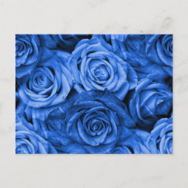 Blauwe Rozen Briefkaart