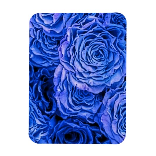 Blauwe Rozen Magneet (Verticaal)