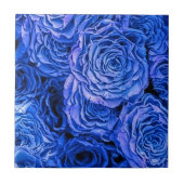 Blauwe Rozen Tegeltje (Voorkant)