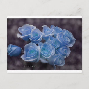 Blauwe rozen tegen een donkere achtergrond briefkaart