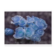 Blauwe rozen tegen een donkere achtergrond