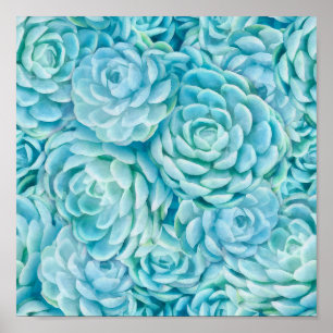 Blauwe sacharose poster