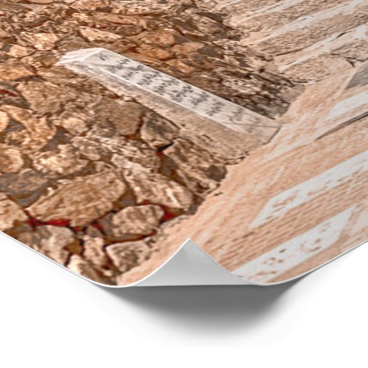 Blauwe Sakhi-tempelmoskee in Kabul, Afghanistan Poster (Hoek)