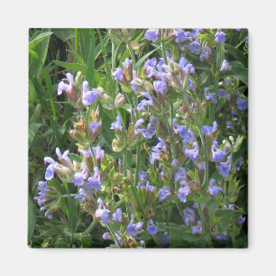 Blauwe salie bloemen magneet
