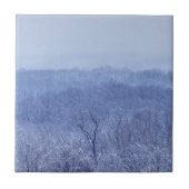 Blauwe schaduw tegeltje (Voorkant)