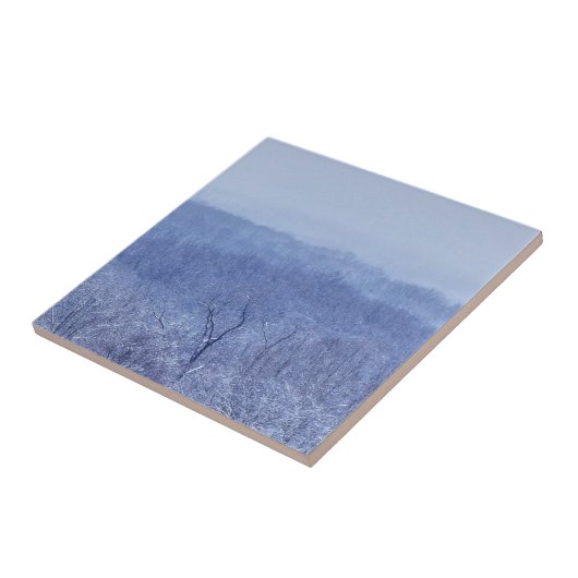 Blauwe schaduw tegeltje (Zijkant)