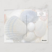 Blauwe Schelp Fotografie Ansichtkaarten Briefkaart (Achterkant)