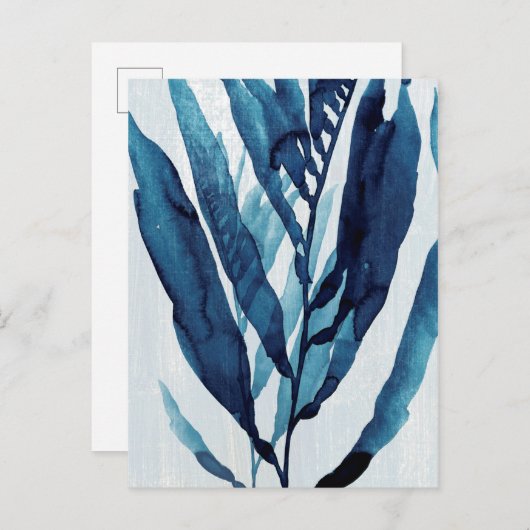 Blauwe schijf I Briefkaart (Voorkant / Achterkant)