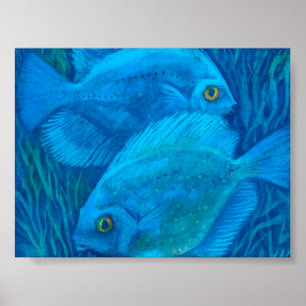 Blauwe schijfjes, tropische vissen onderwaterdierk poster