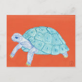Blauwe schildpad briefkaart (Voorkant)