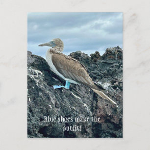 Blauwe schoenen vogel briefkaart