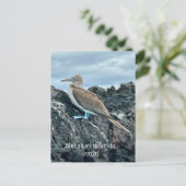 Blauwe schoenen vogel briefkaart (Staand voorkant)