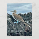 Blauwe schoenen vogel briefkaart (Voorkant)