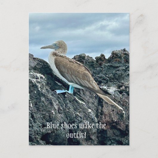 Blauwe schoenen vogel briefkaart (Voorkant)