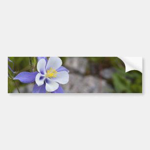 Blauwe schoonheid bumpersticker