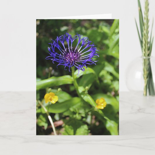 Blauwe schoonheid kaart (Voorkant)