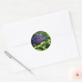 Blauwe Schoonheid Ronde Sticker (Envelop)