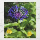 Blauwe Schoonheid Wijn Etiket (Enkel label)