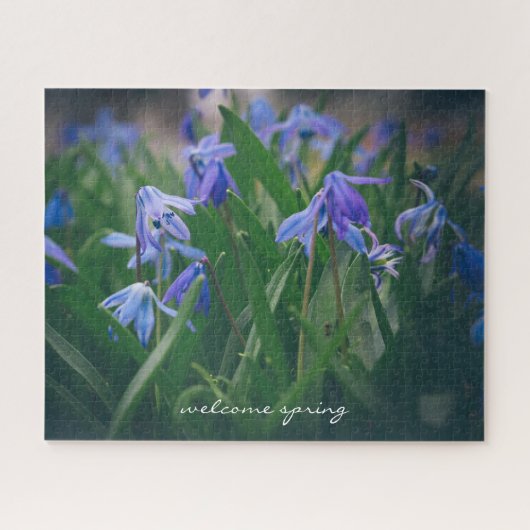 Blauwe scilla bloemen in de voorjaarstuin legpuzzel (Horizontaal)