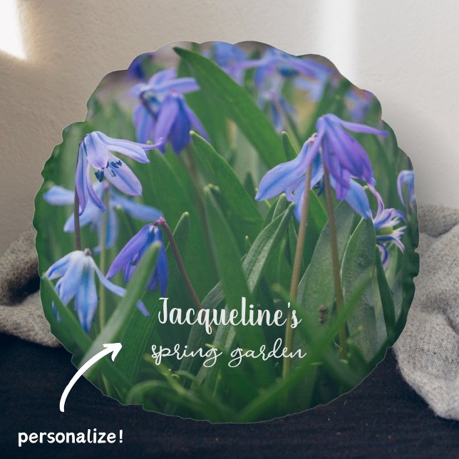 Blauwe scilla bloemen in de voorjaarstuin rond kussen (Creator heeft geüpload)