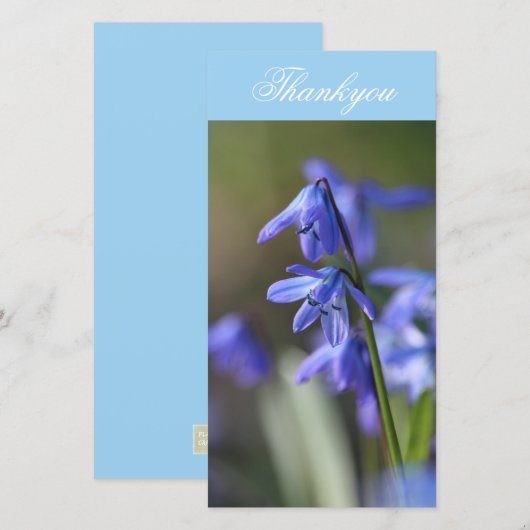 Blauwe Scilla siberica (Hout Squill) Bloemen Bedankkaart (Voorkant / Achterkant)