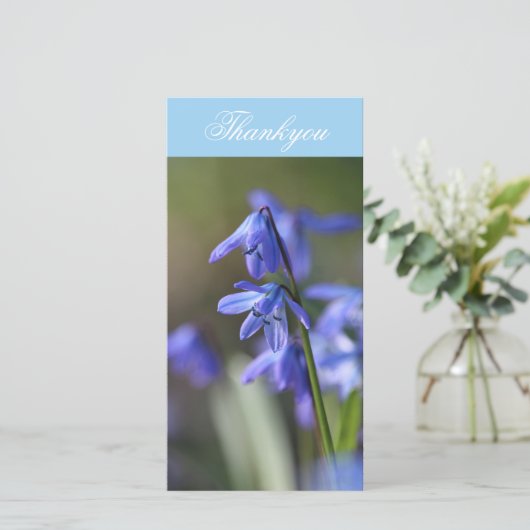 Blauwe Scilla siberica (Hout Squill) Bloemen Bedankkaart (Staand voorkant)