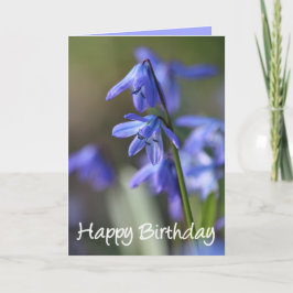 Blauwe Scilla siberica (Hout Squill) Bloemen Kaart
