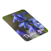 Blauwe Scilla siberica (Hout Squill) Bloemen Magneet (Rechterzijde)