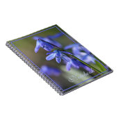 Blauwe Scilla siberica (Hout Squill) Bloemen Notitieboek (Rechterzijde)