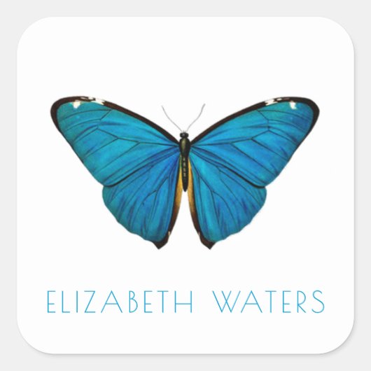 BLAUWE SEAL STICKER : BLAUWE BUTTERFLES (Voorkant)