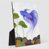 Blauwe Siamese kempvis Fotoplaat (Zijkant)