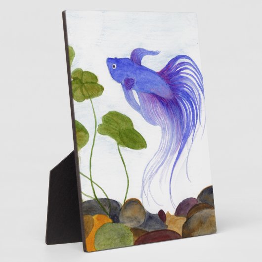 Blauwe Siamese kempvis Fotoplaat (Zijkant)