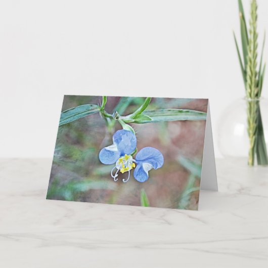 Blauwe siatische Kaart voor dagbloem, vrije bloem (Voorkant)