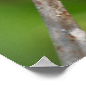 Blauwe siertinten ontsnappen het Poster van Verbin (Hoek)