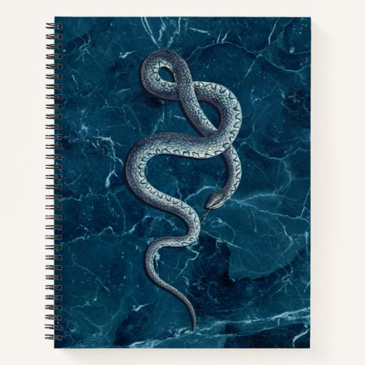 blauwe slang en marmer notitieboek (Voorkant)