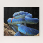 Blauwe slang legpuzzel (Horizontaal)