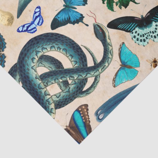 Blauwe slangen vogels en vlinderontbinding tissuepapier (Detail)