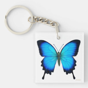 Blauwe Sleutelhanger voor ulysses Butterfly