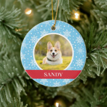 Blauwe sneeuwvlok hond