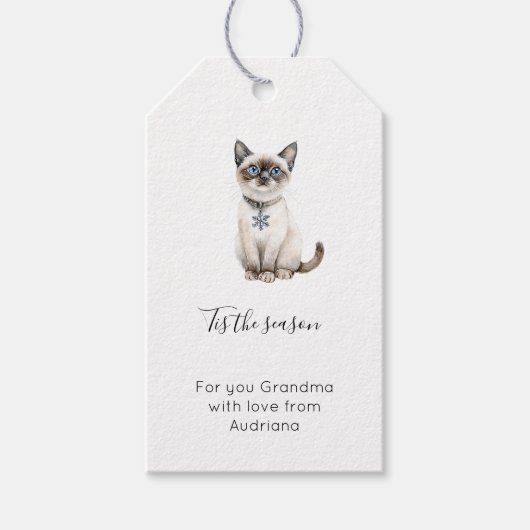 Blauwe Sneeuwvlok Kat Kerstmis Cadeaulabel (Voorkant)
