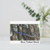 Blauwe snuffel Sluiten Briefkaart (Staand voorkant)