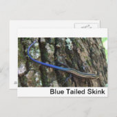 Blauwe snuffel Sluiten Briefkaart (Voorkant / Achterkant)